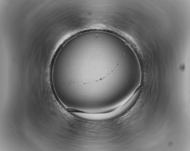 X0000099421326200805161036