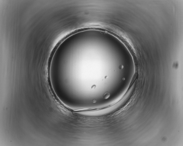X0000099421328200805161036
