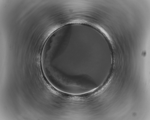 X0000099421329200805161036