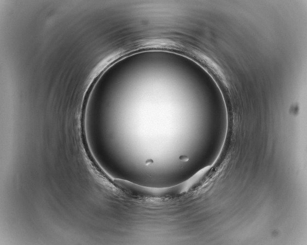 X0000099421330200805161036