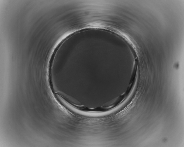 X0000099421331200805161036