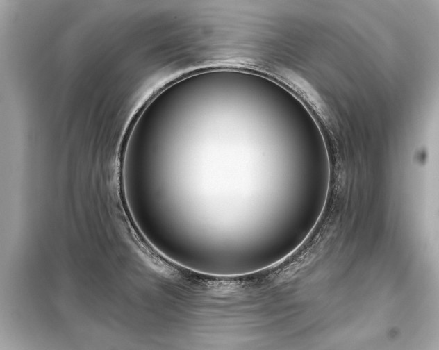 X0000099421332200805161037