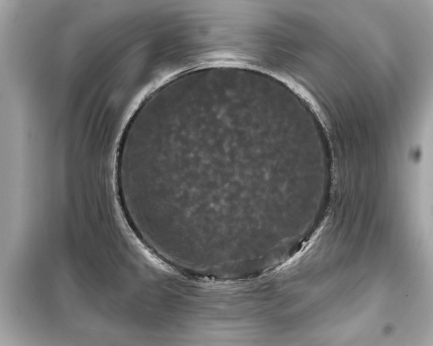 X0000099421333200805161037