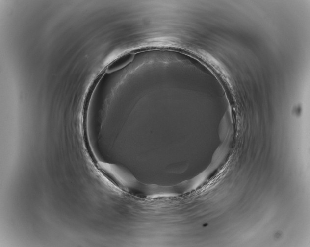 X0000099421334200805161037