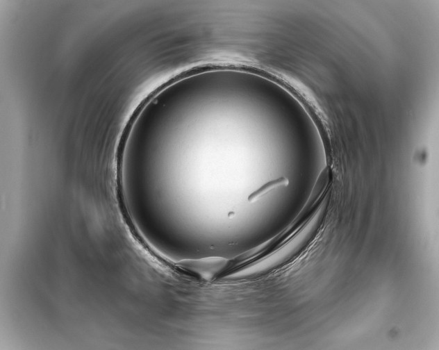 X0000099421335200805161037