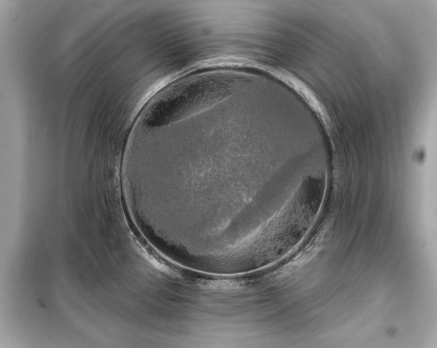 X0000099421337200805161037