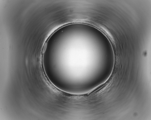 X0000099421340200805161037