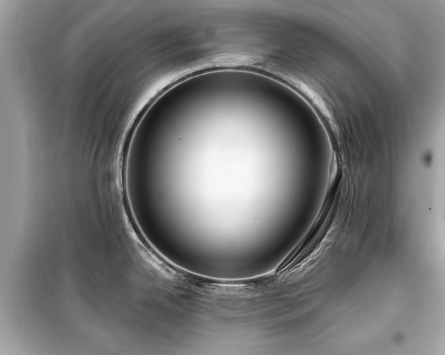 X0000099421342200805161037