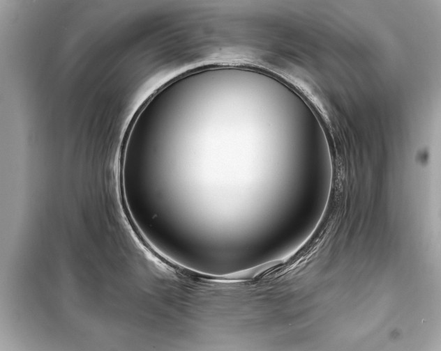 X0000099421343200805161037