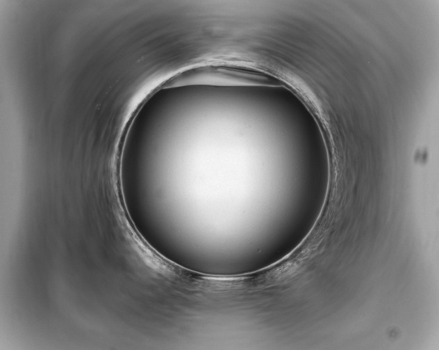 X0000099421344200805161037