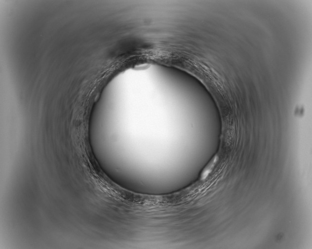 X0000099421345200805161036