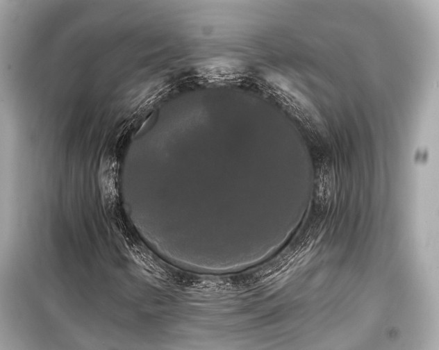 X0000099421346200805161036
