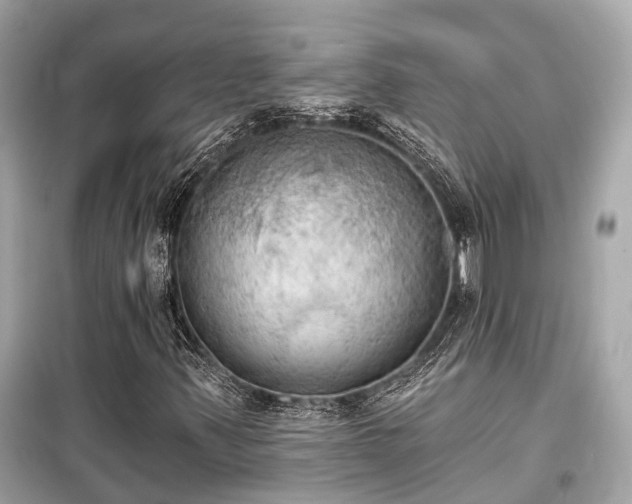 X0000099421347200805161036