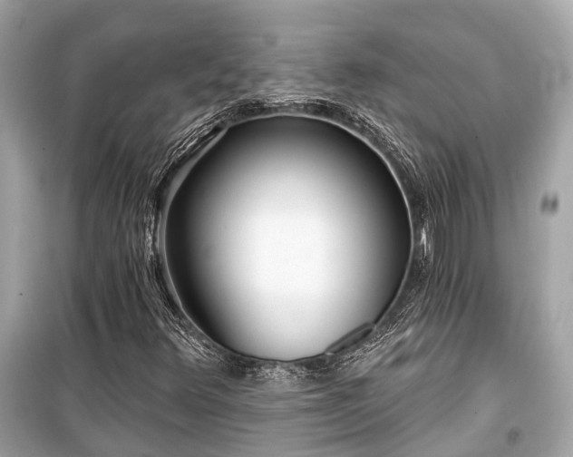 X0000099421348200805161036