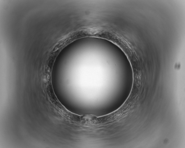 X0000099421349200805161036