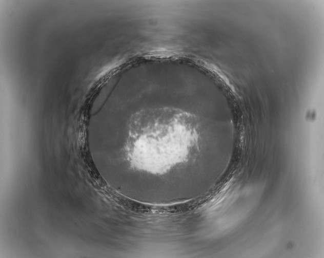 X0000099421350200805161036
