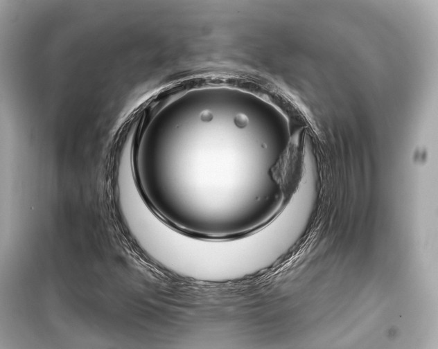 X0000099421352200805161036