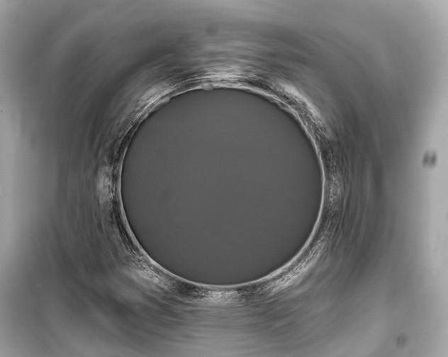 X0000099421353200805161036