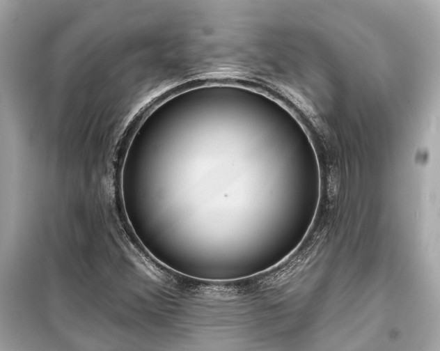 X0000099421356200805161036