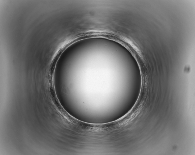 X0000099421357200805161036