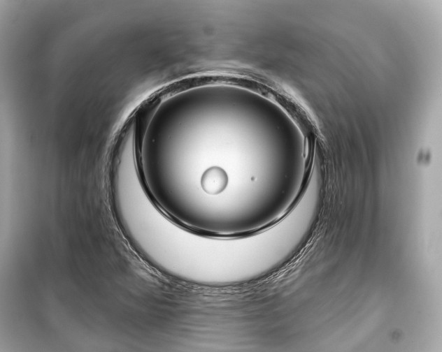 X0000099421360200805161036