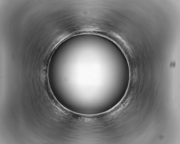X0000099421361200805161036