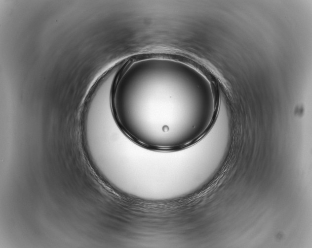 X0000099421364200805161036