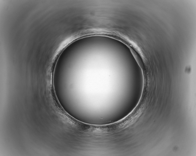 X0000099421365200805161036