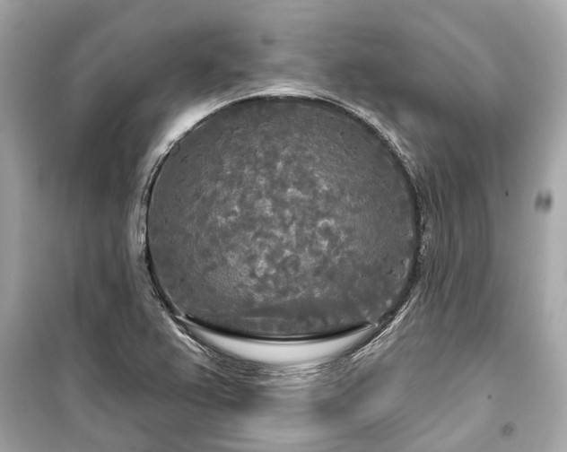 X0000099421367200805161036