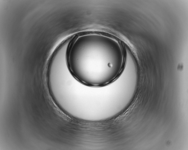 X0000099421368200805161036