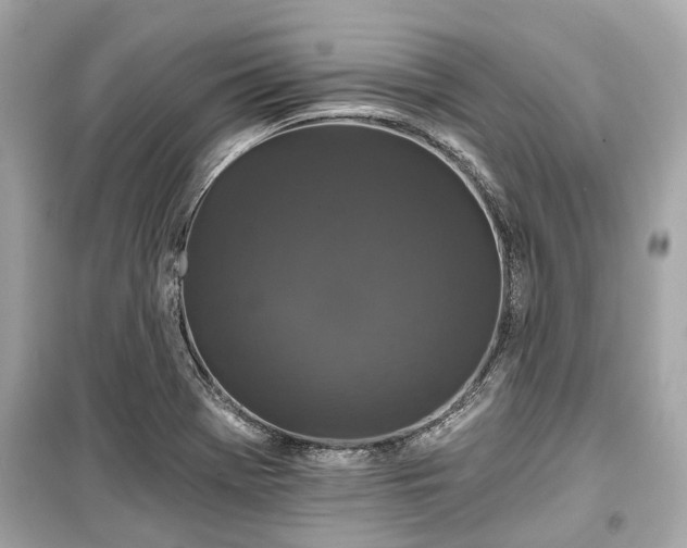 X0000099421369200805161036