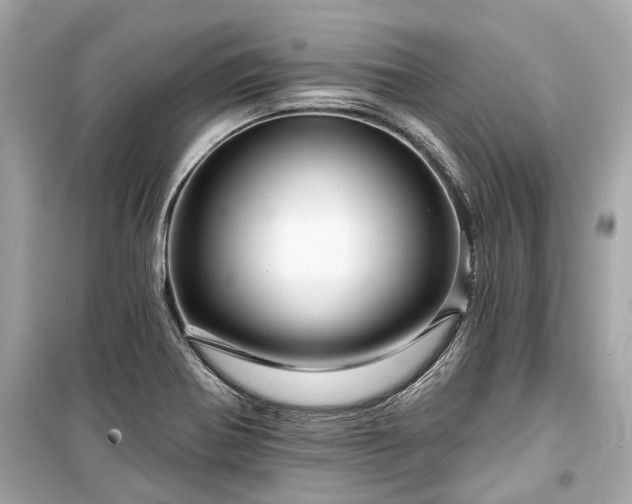 X0000099421370200805161036