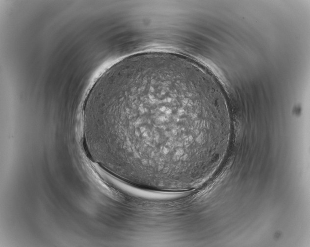 X0000099421371200805161036