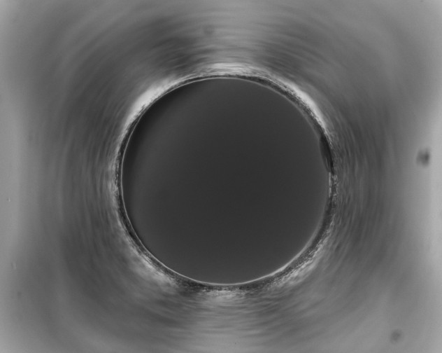 X0000099421373200805161036