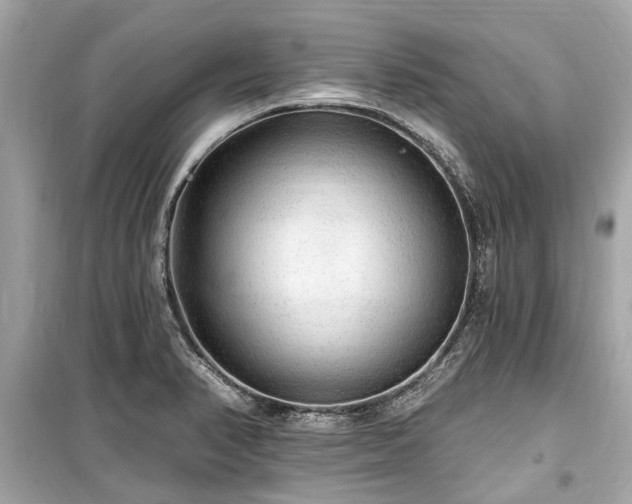 X0000099421374200805161036