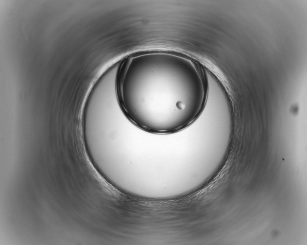 X0000099421380200805161035