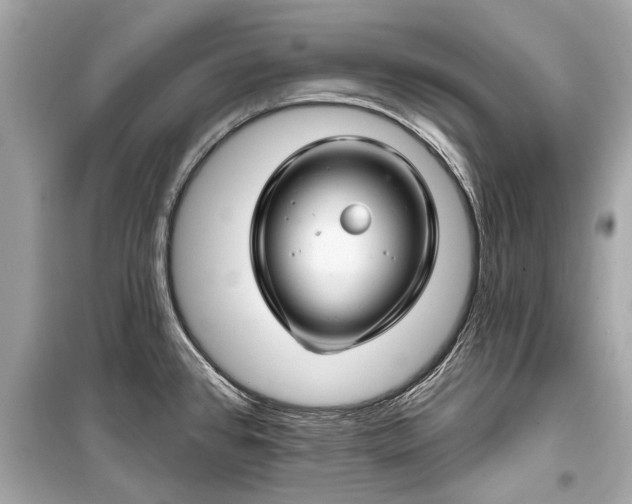 X0000099421384200805161035