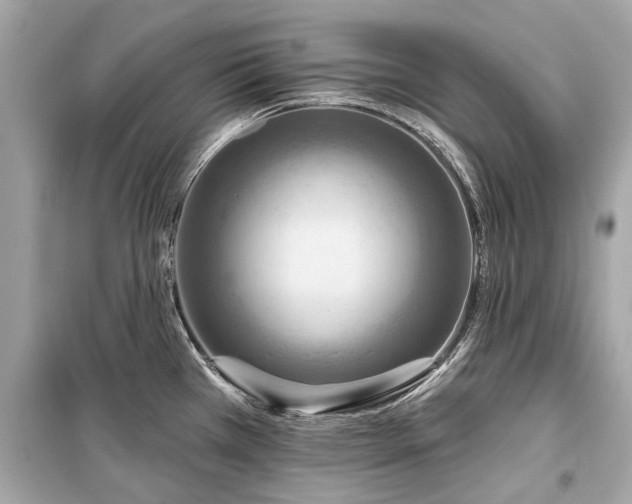 X0000099421385200805161035