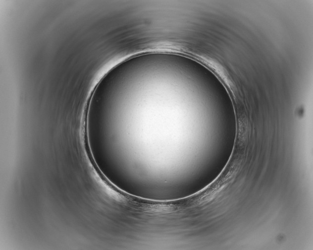 X0000099421387200805161035