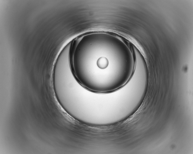 X0000099421388200805161035
