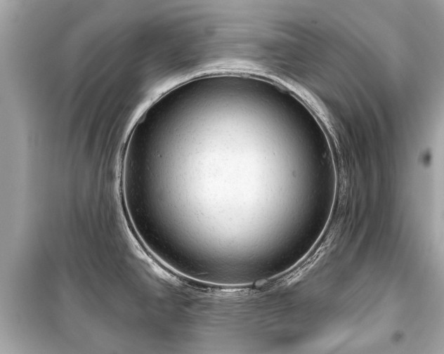 X0000099421390200805161035