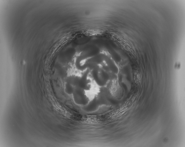 X0000099421393200805161035