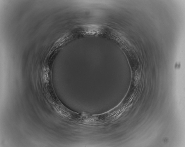 X0000099421394200805161035