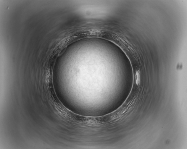 X0000099421395200805161035