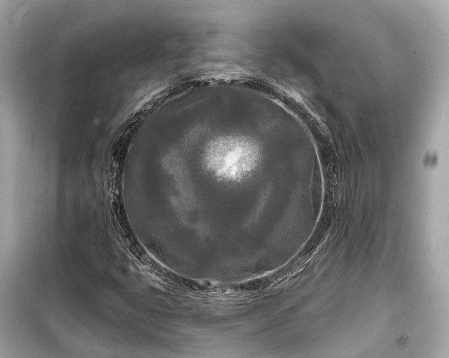 X0000099421399200805161035