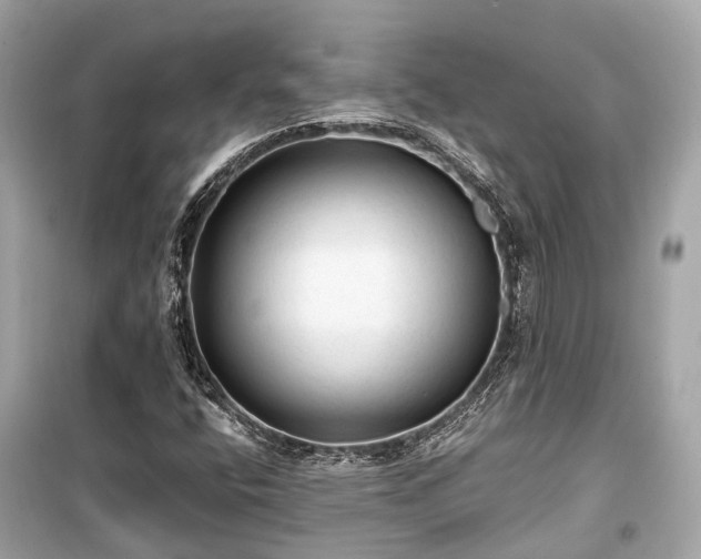 X0000099421400200805161035