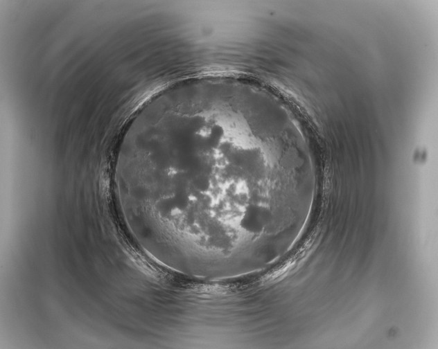 X0000099421401200805161035