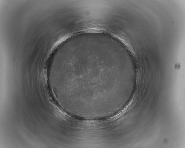 X0000099421402200805161035