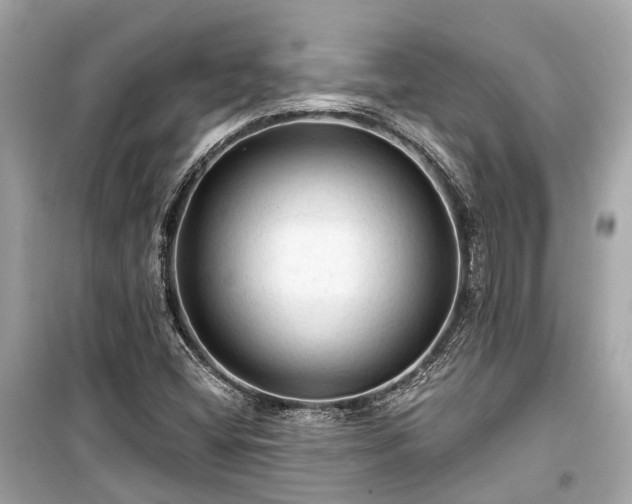 X0000099421404200805161035