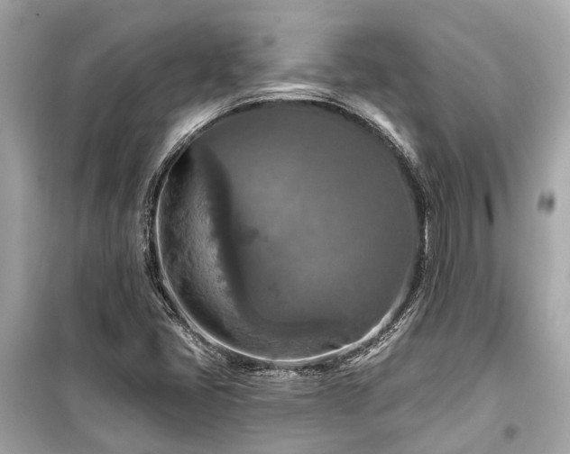 X0000099421405200805161035